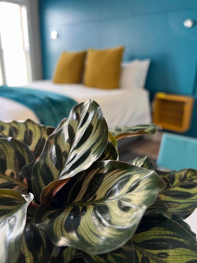 Hermanus Waterfront Apartment No 17 ภายนอก รูปภาพ